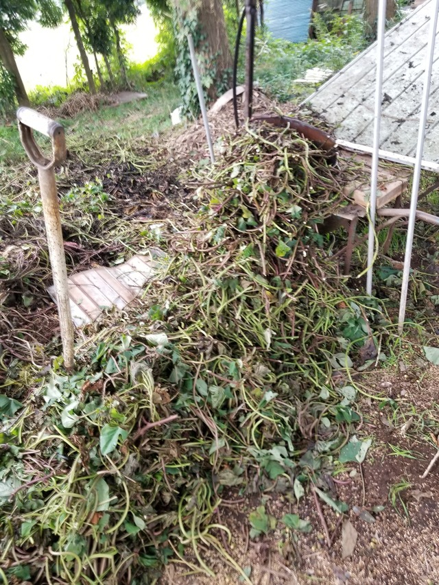 20221024_150453_copy_1512x2016