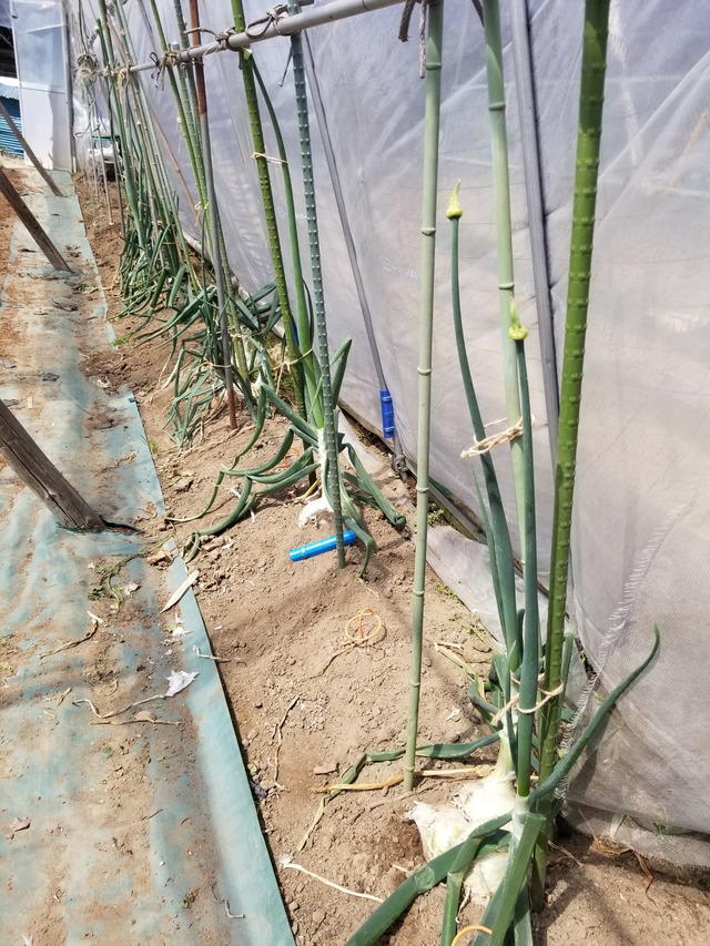 20240322_112259_copy_2268x3024