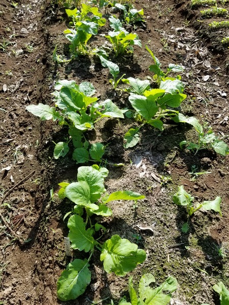 20190927_084206-1620x2160