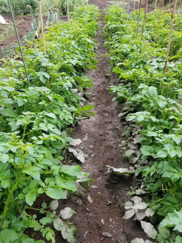 20220517_072218_copy_2268x3024