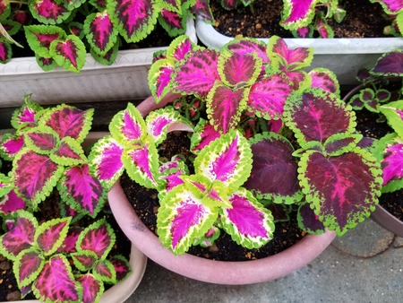 20190706_181316-2160x1620