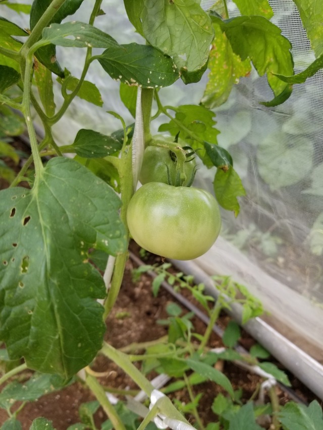 20210803_083657_copy_2268x3024