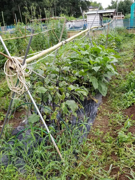 20190707_142419-1620x2160