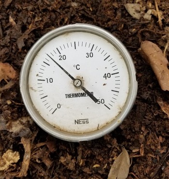 20190330_090440-1024x1365