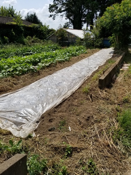 20190804_134311-1620x2160