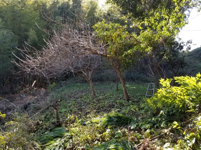 20200218_141346-3024x2268