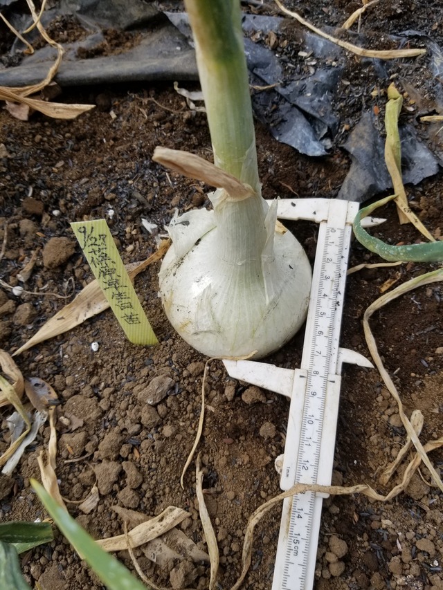 20240209_103214_copy_2268x3024