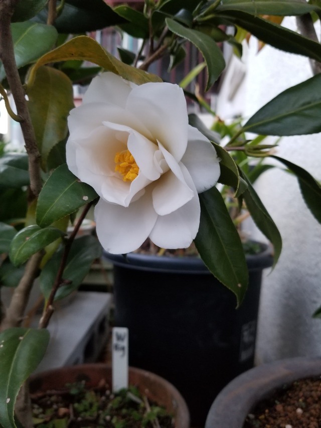 20220316_174532_copy_2268x3024