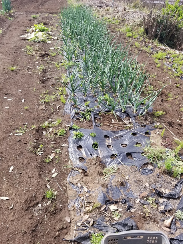 20240408_092807_copy_2268x3024