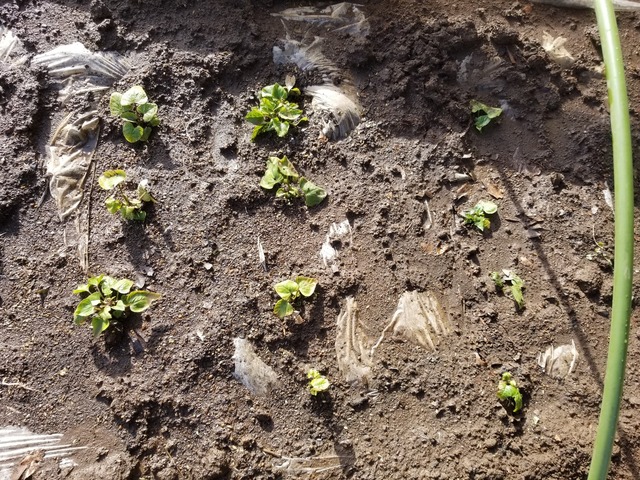 20230311_151201_copy_1612x1209