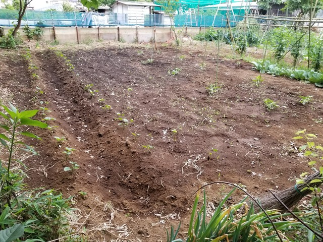 20190603_071521-2160x1620