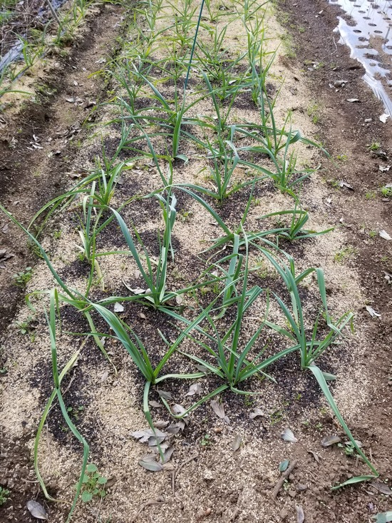 20191113_090606-1620x2160