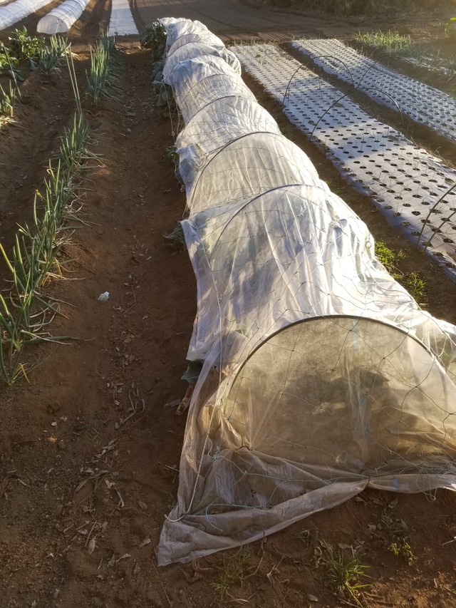 20201226_154529_copy_2268x3024