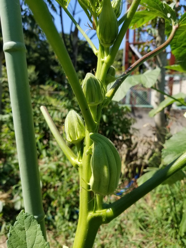 20210725_143522_copy_2268x3024