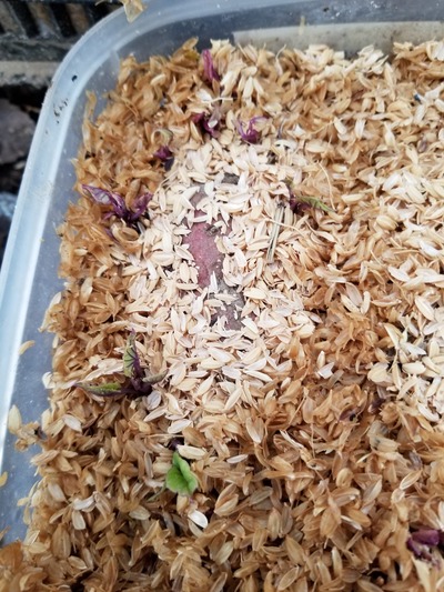 20200127_085516-2268x3024