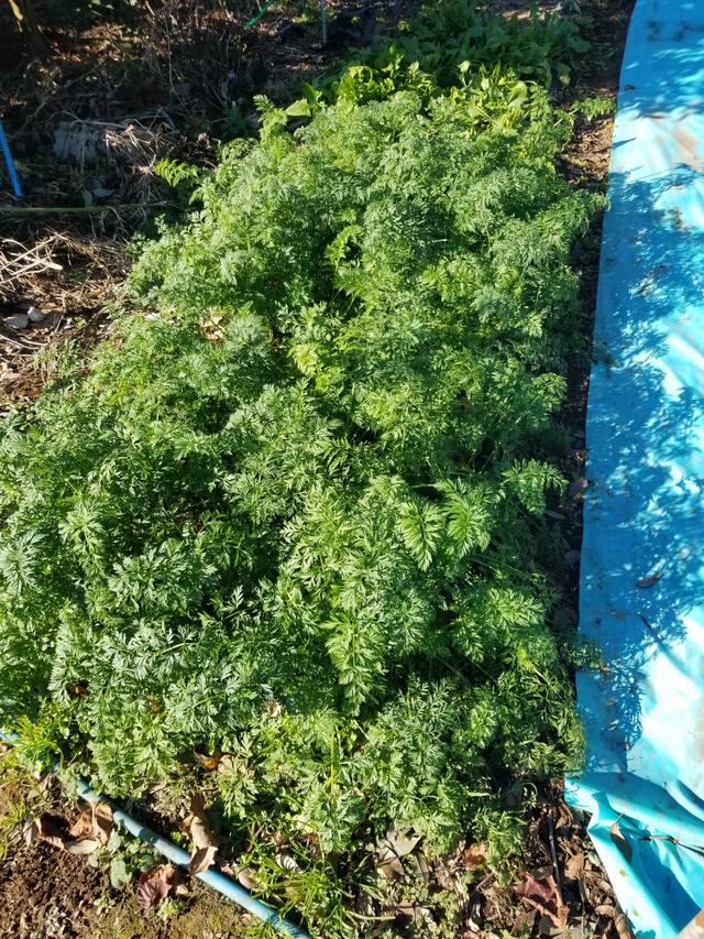 20231221_102950_copy_1512x2016