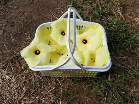 20190807_072721-2160x1620