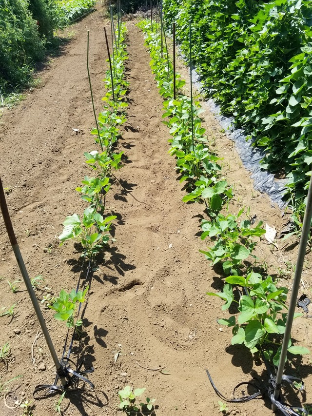 20220801_102728_copy_1512x2016