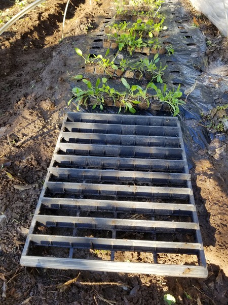 20191228_084641-2268x3024