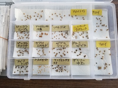 20200130_084259-2268x3024