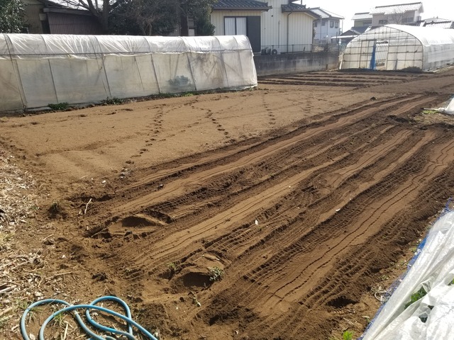 20240215_104001_copy_3024x2268