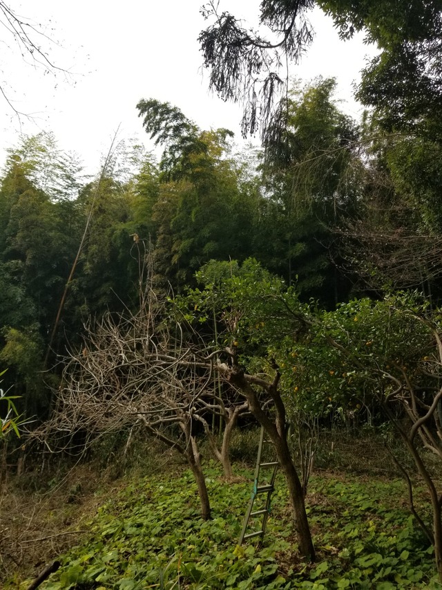 20240103_100719_copy_1512x2016