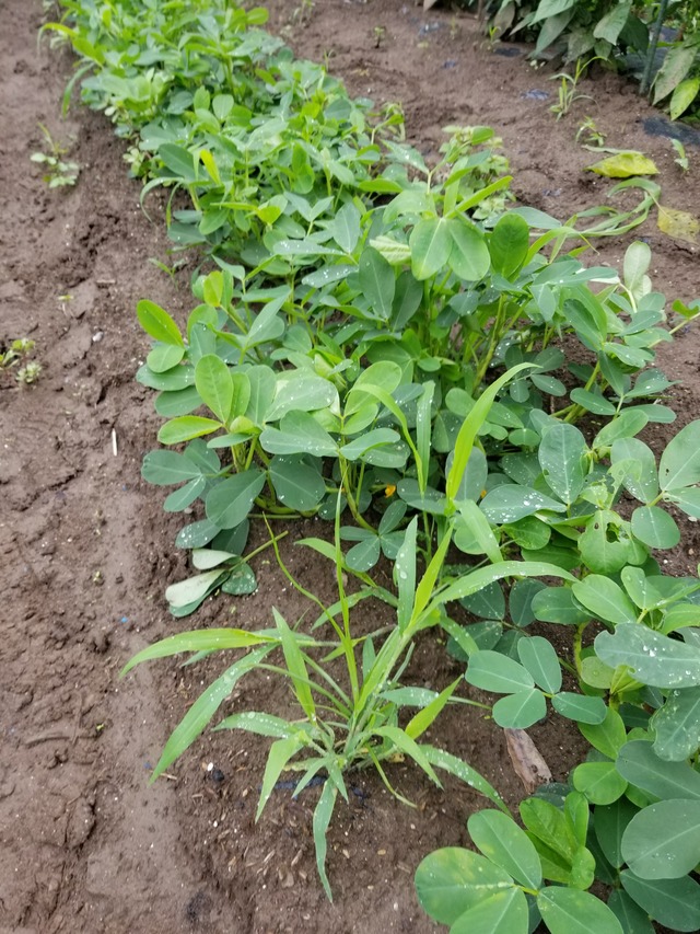 20210706_075620_copy_2268x3024