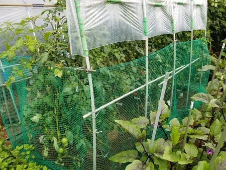 20190712_081256-2160x1620