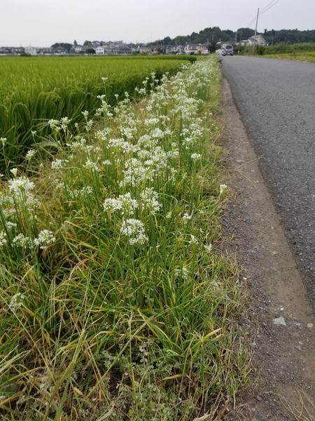 20190905_172209-1620x2160