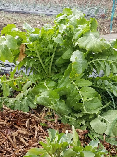 20200214_084851-2268x3024