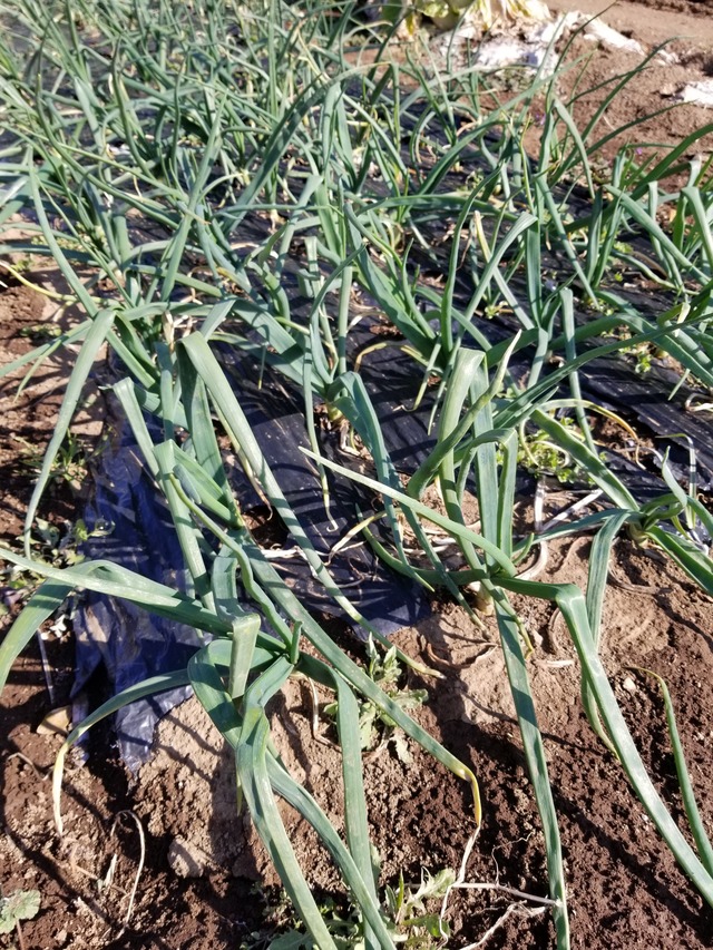 20240315_091328_copy_2268x3024