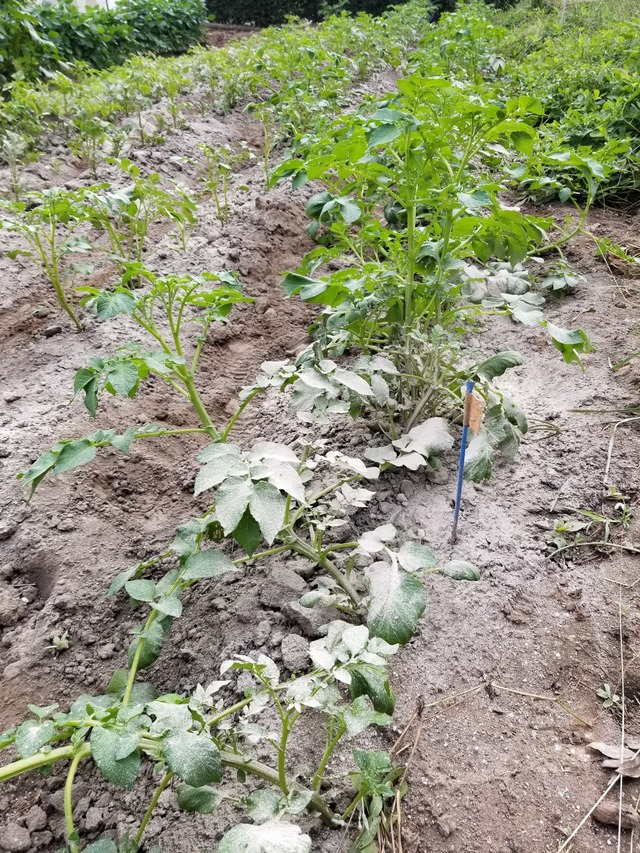 20210928_083652_copy_2268x3024_2