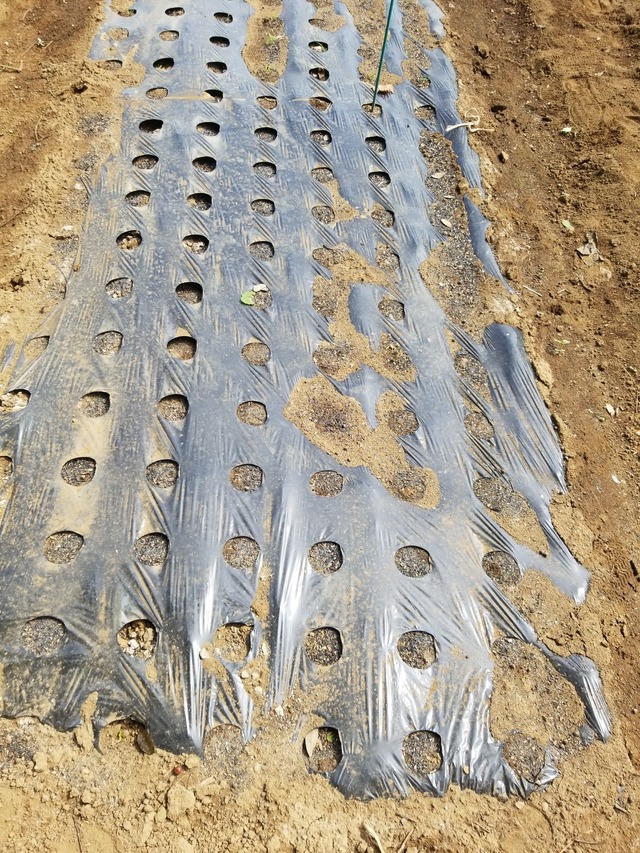 IMG_20230828_135542_copy_1512x2016