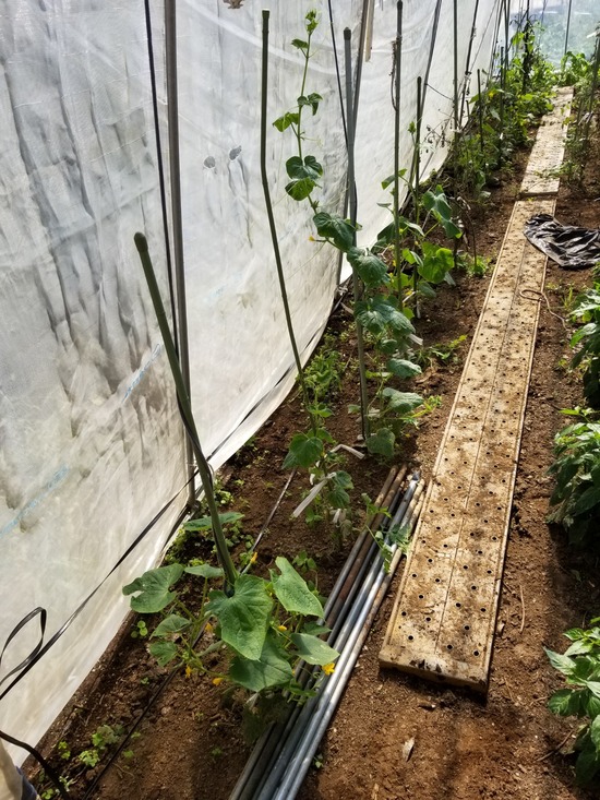 20191013_105135-1620x2160