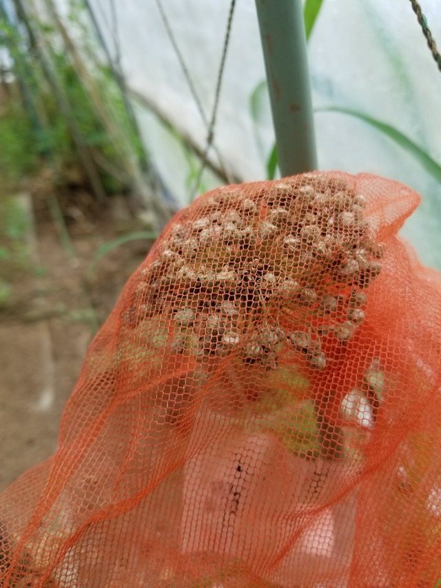 20230615_080252_copy_1512x2016