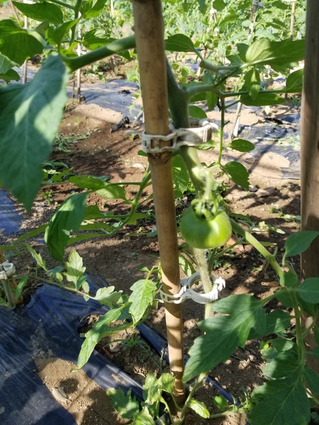20220530_074206_copy_2268x3024