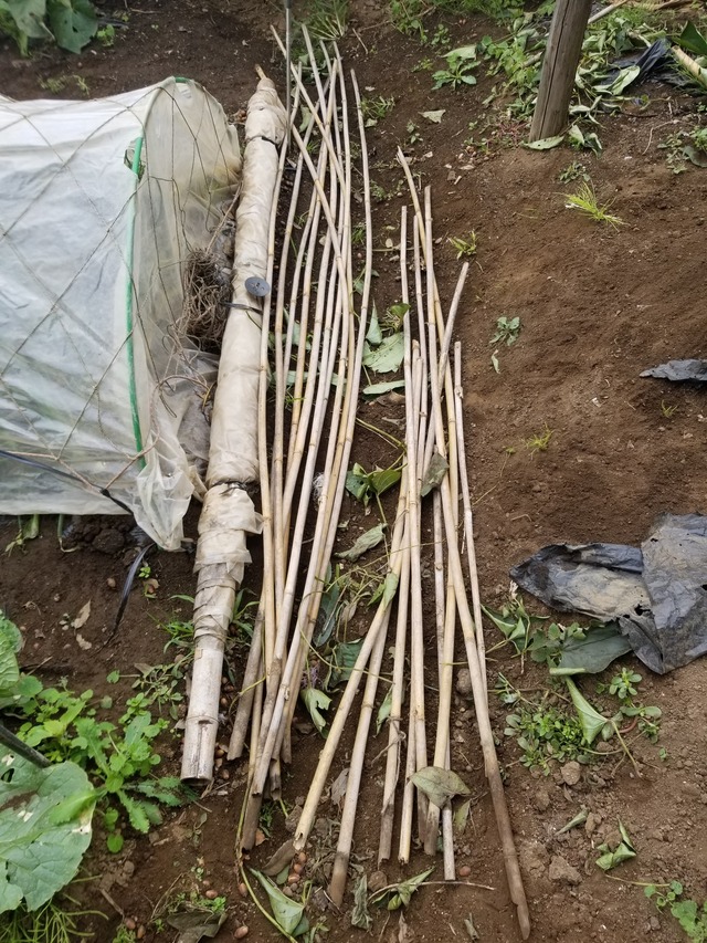 20231115_104034_copy_1512x2016