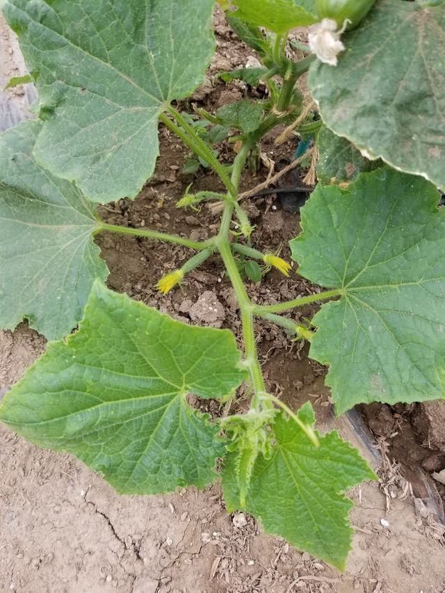 20230513_144056_copy_1512x2016