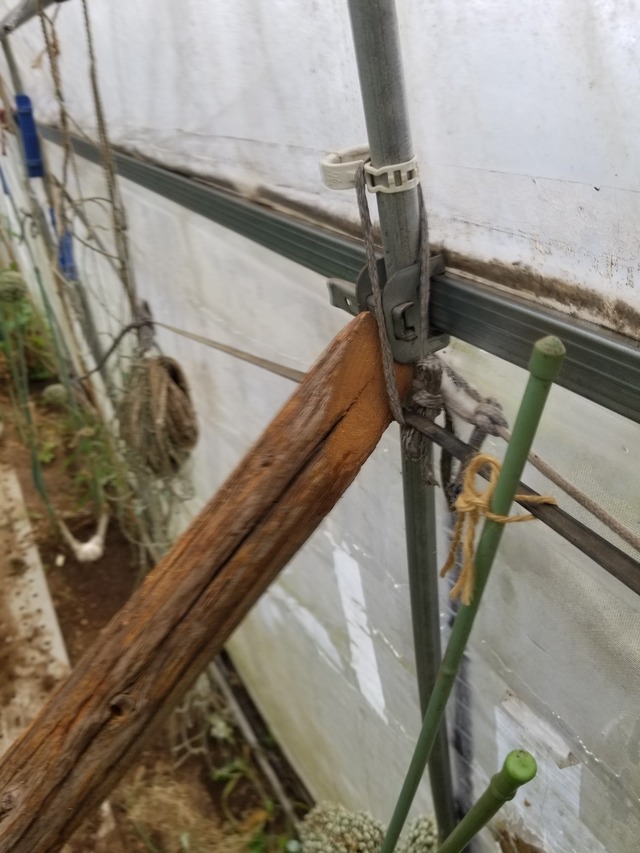 20230603_090209_copy_1512x2016