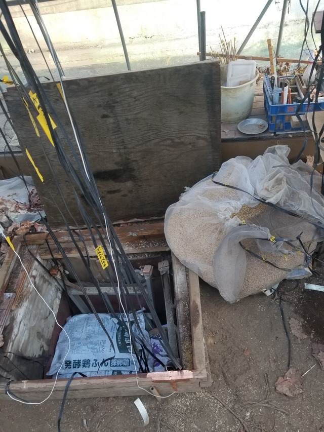 20240112_095736_copy_1512x2016