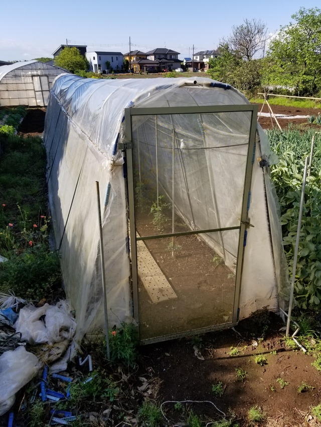 20200507_081128_copy_2268x3024