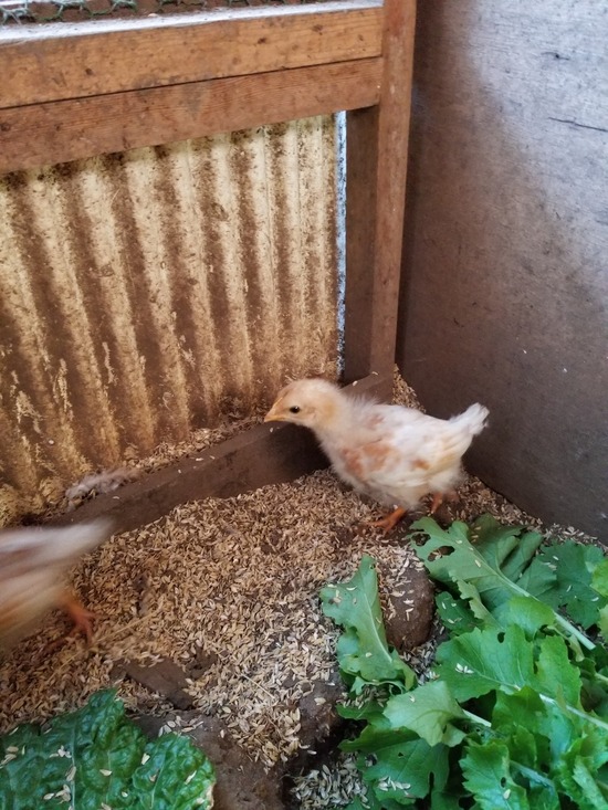 20191120_085440-1620x2160