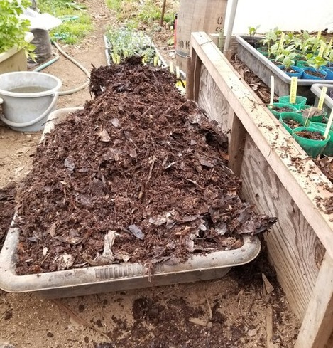 20190330_090913-1024x1365