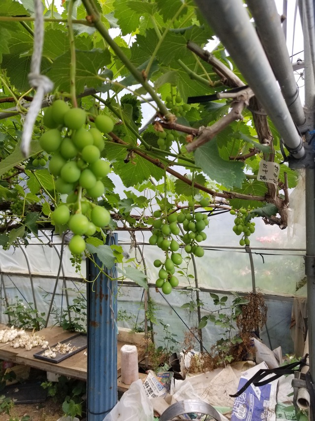 20210601_083021_copy_2268x3024