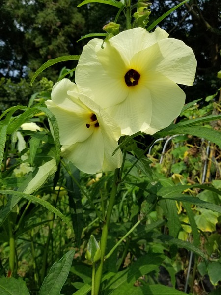 20190729_091349-1620x2160