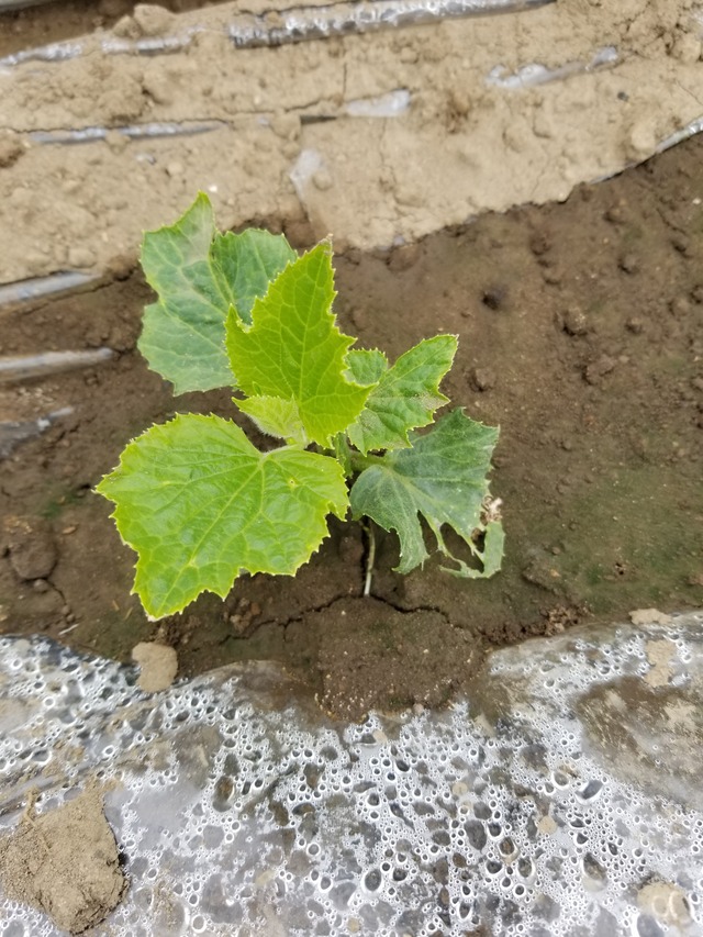 20240406_100901_copy_2268x3024