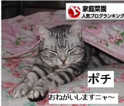 11練馬大長尻大根1111111