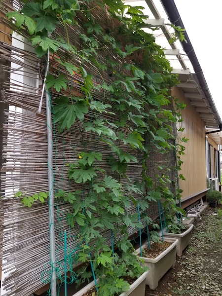 20190706_182358-1620x2160