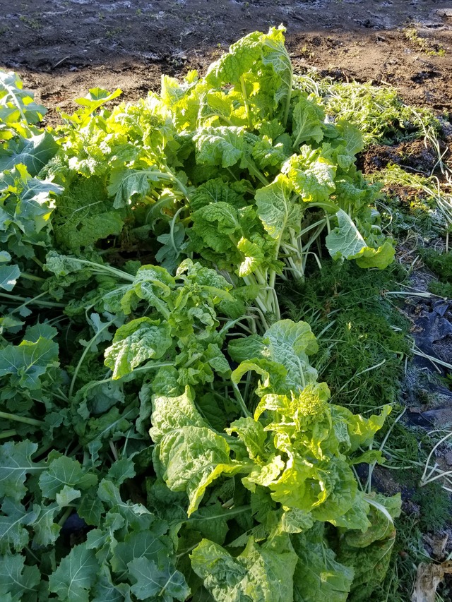 20211222_083645_copy_2268x3024