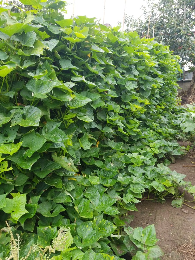 IMG_20230922_104331_copy_1512x2016